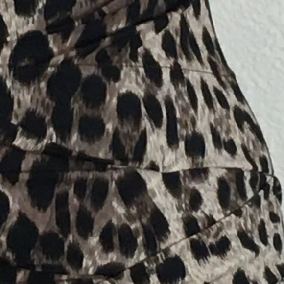 Phanuel Leopard Dress - Picture 3 of 4